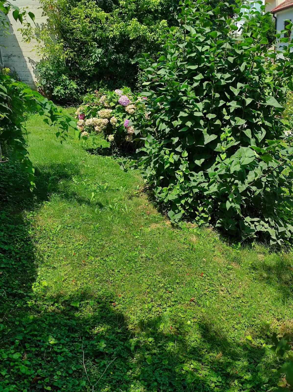 Apartman Zagreb,Rebro,Maksimir,Centar Marko 외부 사진